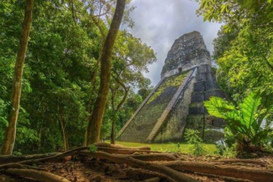 d5-tikal