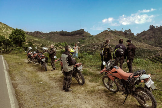 through-coffee-farms