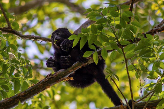 semuc-champey-2